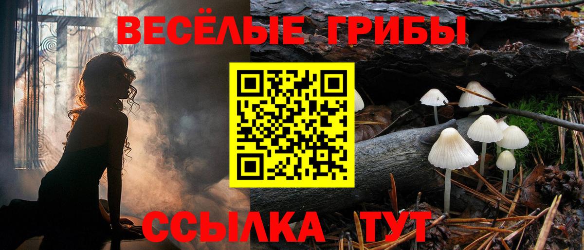 Галлюциногенные грибы MAGIC MUSHROOMS  Вход с VPN  Псилоцибиновые грибы Magic Shrooms  даркнет сайт  Людиново 