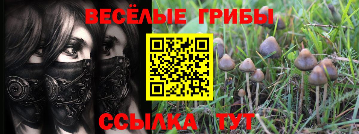 Галлюциногенные грибы прущие грибы Людиново